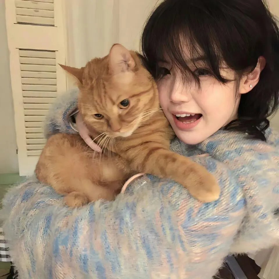 悔婚之后开始逆袭